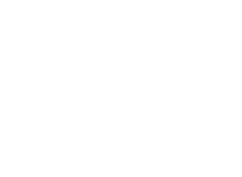 livvo-koala-garden-logo-white